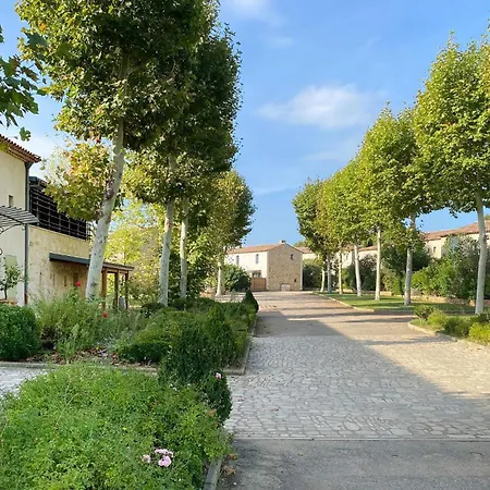 In Saint-Laurent-de-la-Cabrerisse